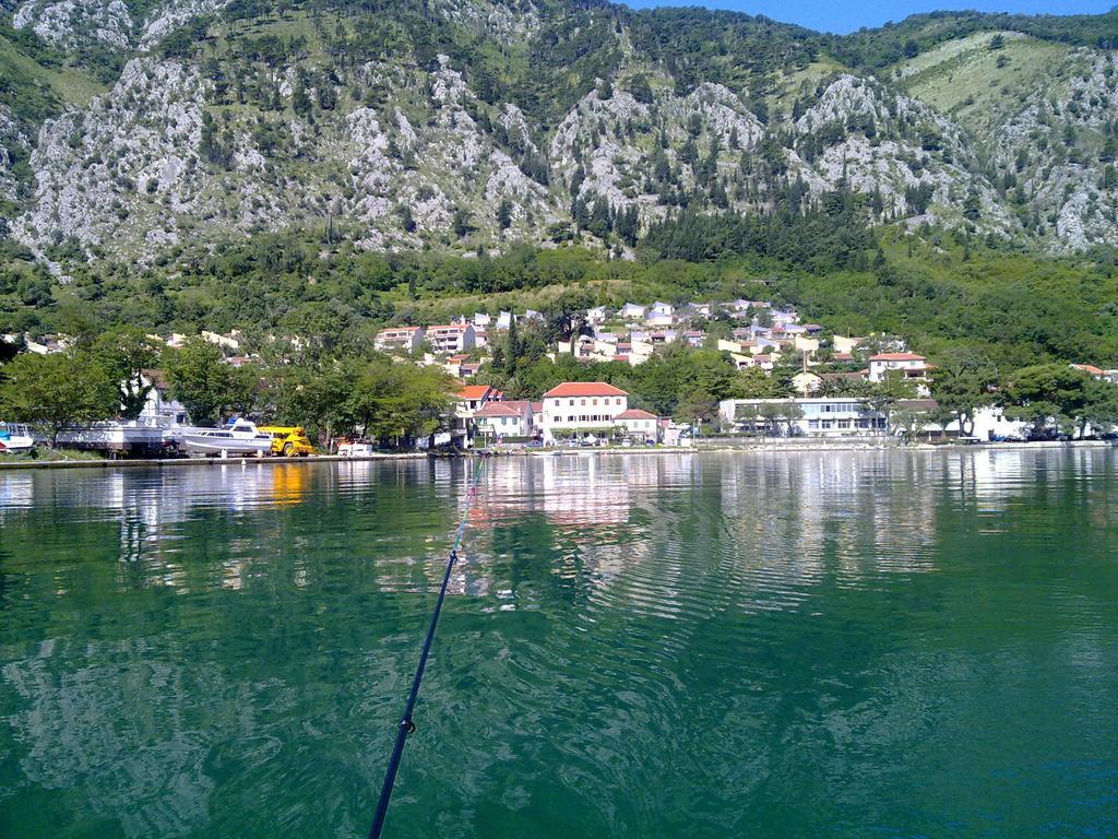 Apartment Mimosa Kotor Rum bild