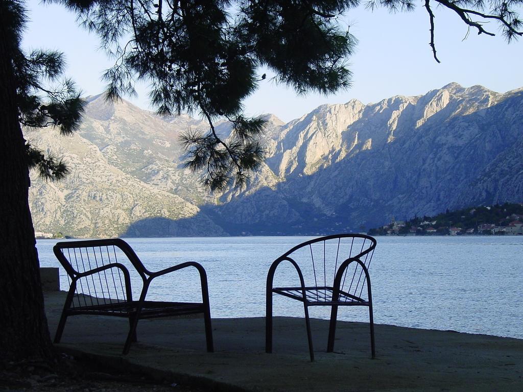 Apartment Mimosa Kotor Rum bild