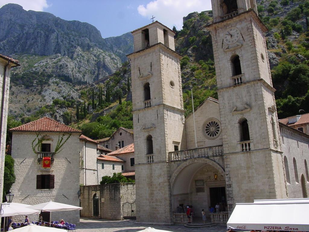 Apartment Mimosa Kotor Rum bild
